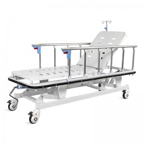 NWM038-4 Patient-Chariot