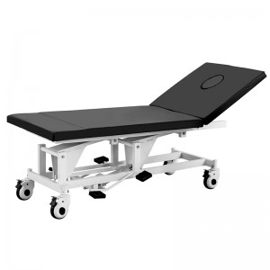 LBWZ-BD21 Examination Table